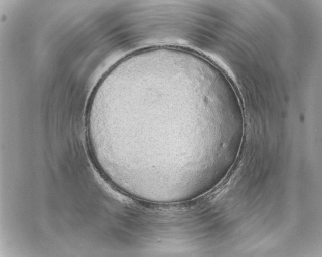 X0000070880895200607071945