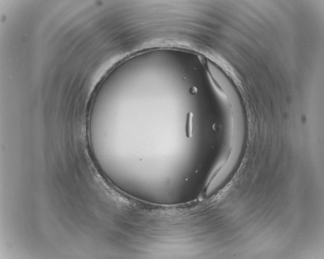 X0000070880896200607071945