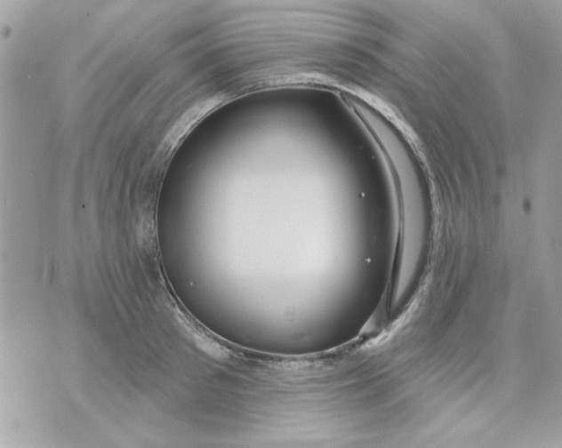 X0000070880897200607071945