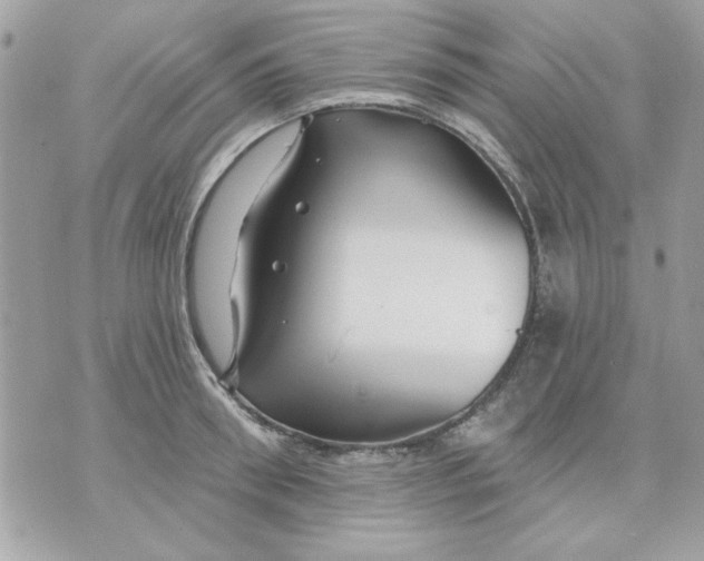 X0000070880898200607071945