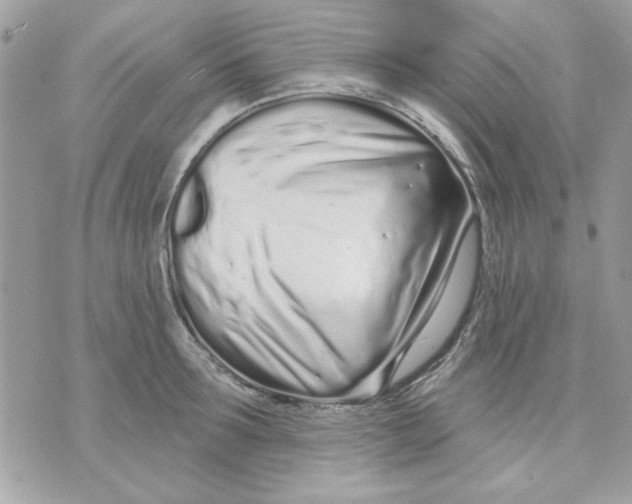 X0000070880899200607071945