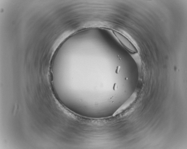 X0000070880901200607071945