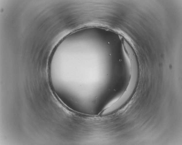 X0000070880902200607071945