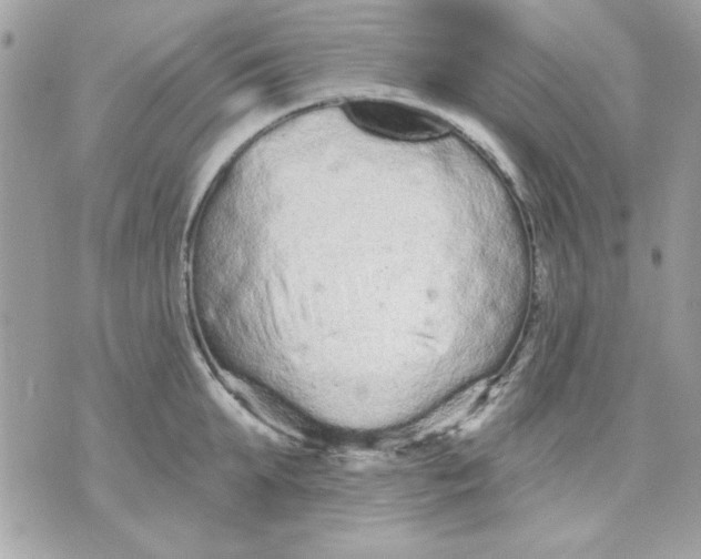 X0000070880903200607071945