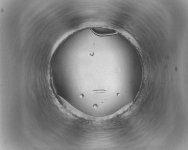 X0000070880904200607071945