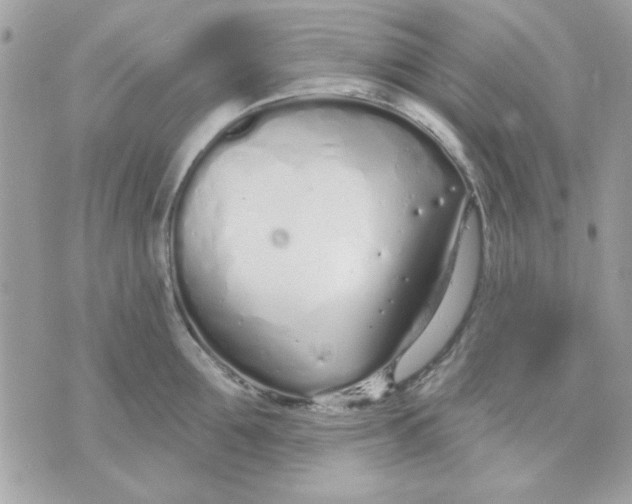 X0000070880907200607071945