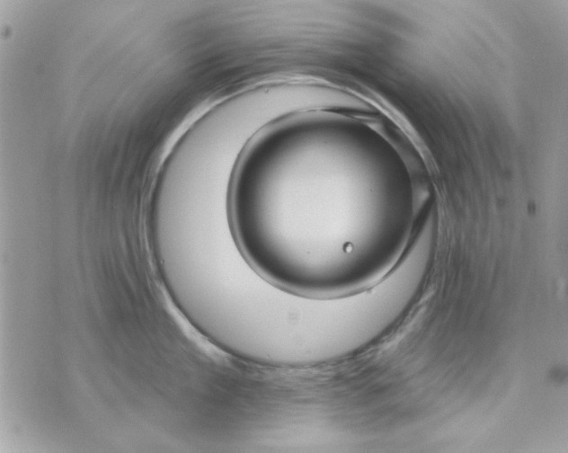 X0000070880909200607071945