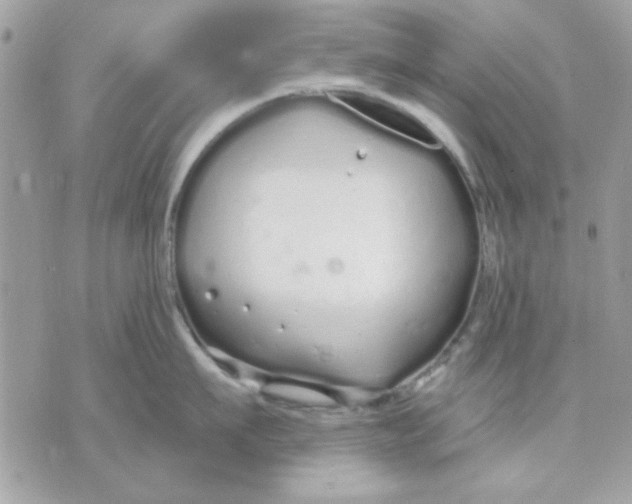 X0000070880911200607071944