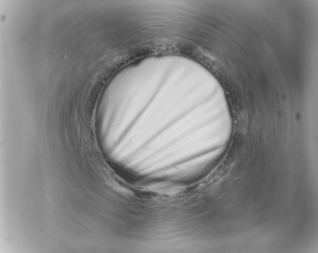 X0000070880913200607071944