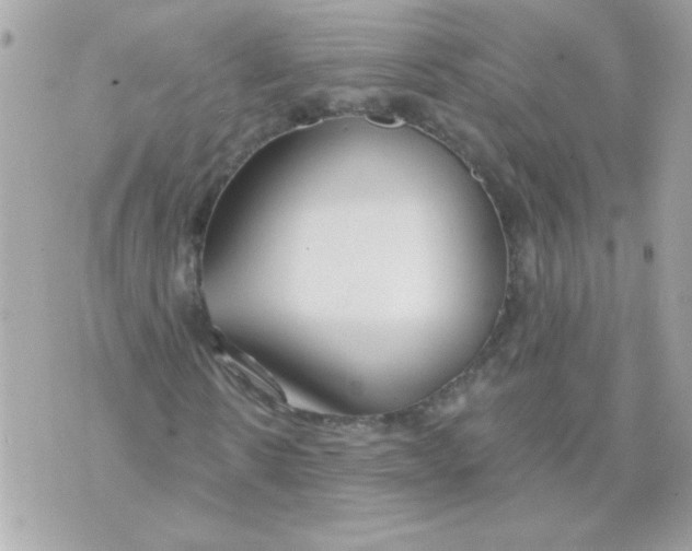 X0000070880914200607071944