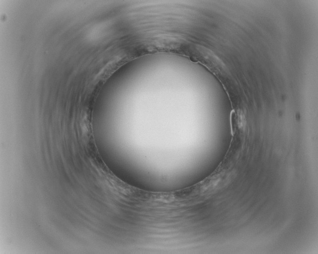 X0000070880915200607071944