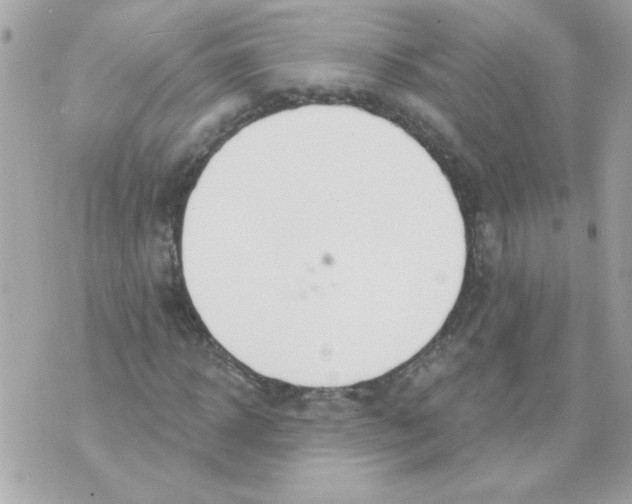 X0000070880918200607071944