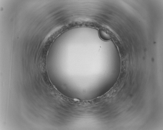 X0000070880919200607071944