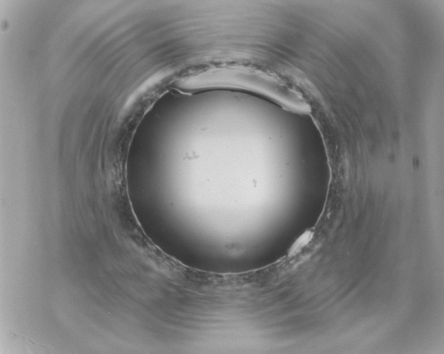 X0000070880920200607071944