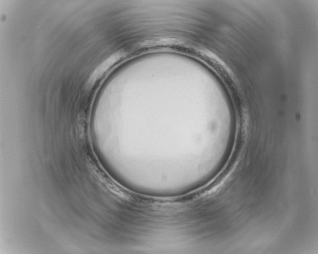 X0000070880921200607071944