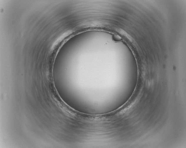 X0000070880922200607071944