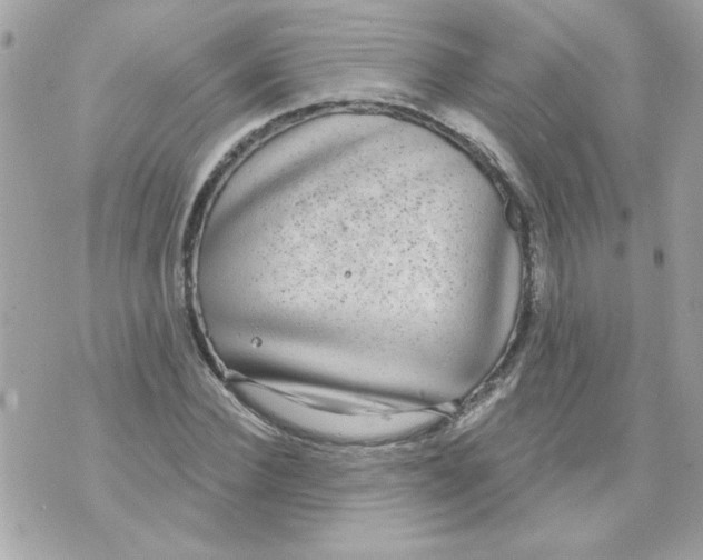 X0000070880924200607071944