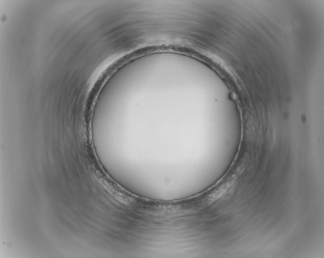 X0000070880927200607071944