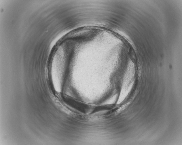 X0000070880928200607071944