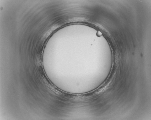 X0000070880929200607071944