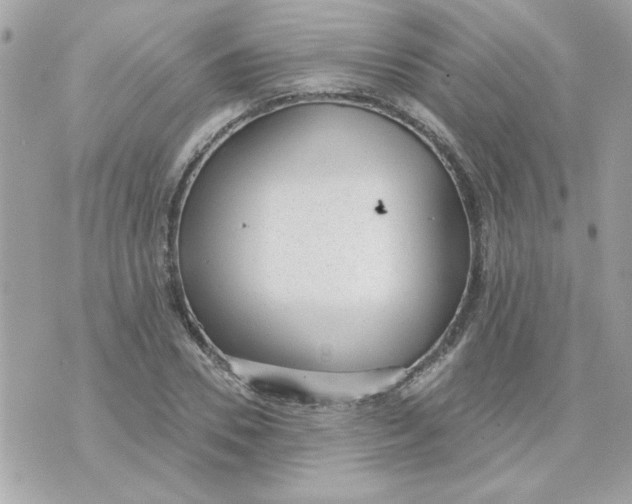 X0000070880930200607071944