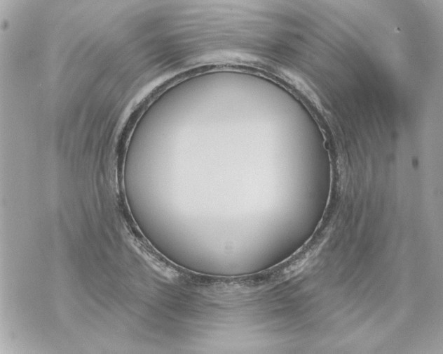 X0000070880931200607071944