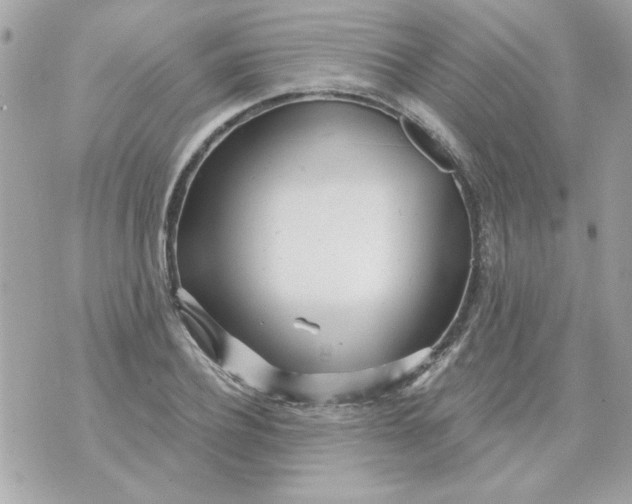 X0000070880932200607071944