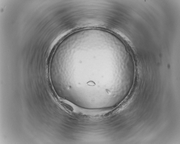 X0000070880933200607071944