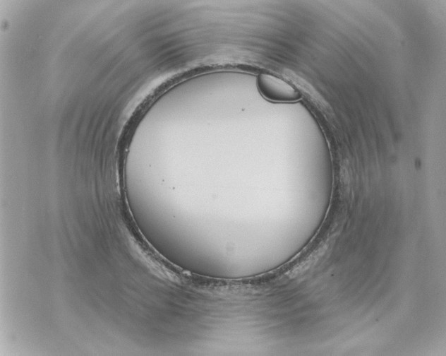 X0000070880934200607071944