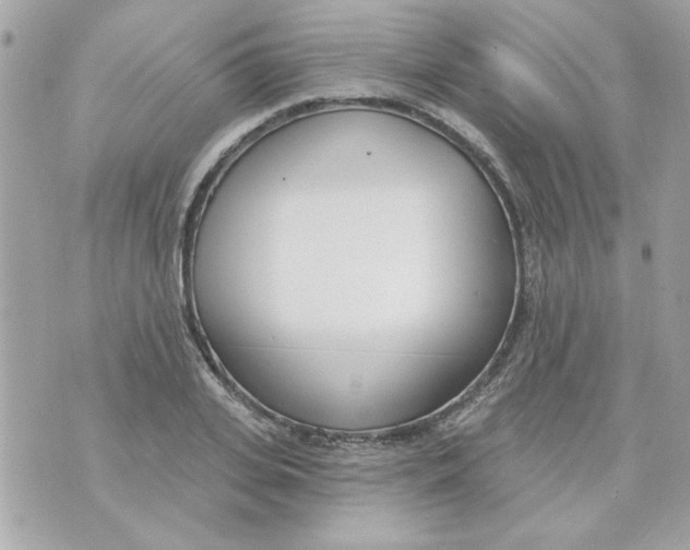 X0000070880935200607071944