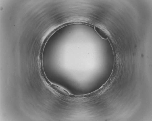 X0000070880936200607071944