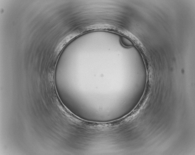 X0000070880937200607071944