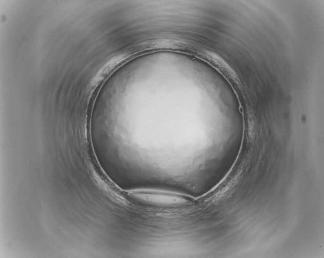 X0000070880938200607071944