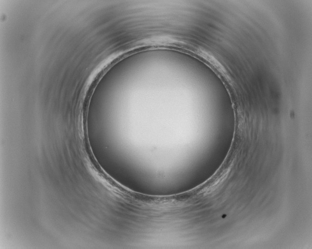 X0000070880939200607071944