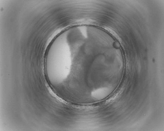 X0000070880941200607071944