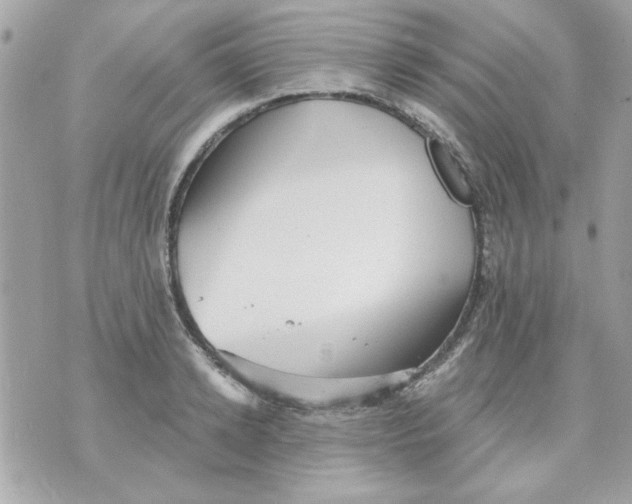 X0000070880942200607071944