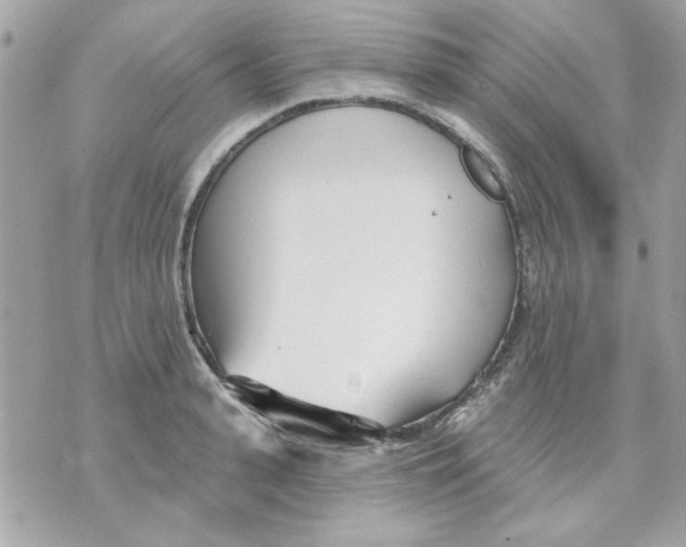 X0000070880943200607071944