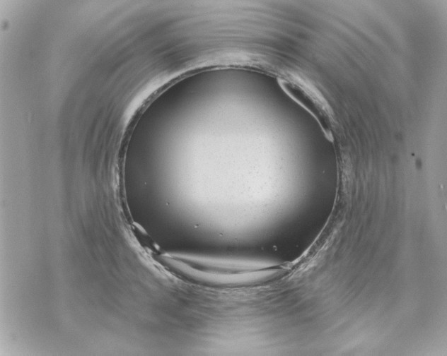 X0000070880944200607071944