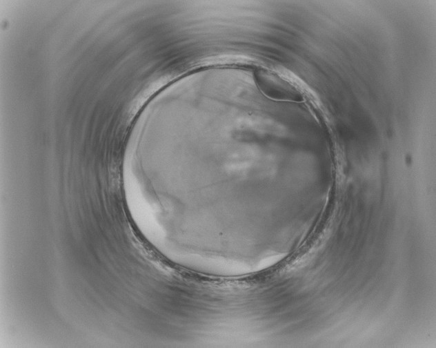 X0000070880945200607071944