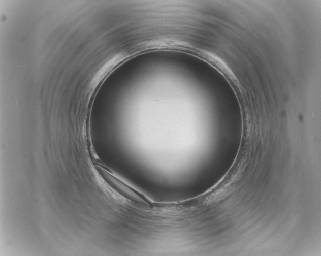 X0000070880946200607071944