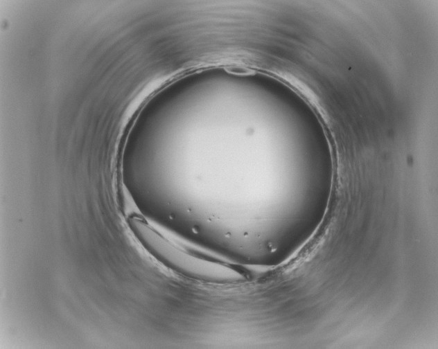 X0000070880949200607071944