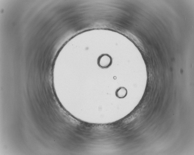 X0000070880950200607071944