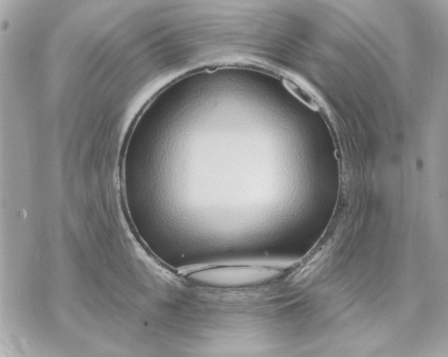 X0000070880951200607071944