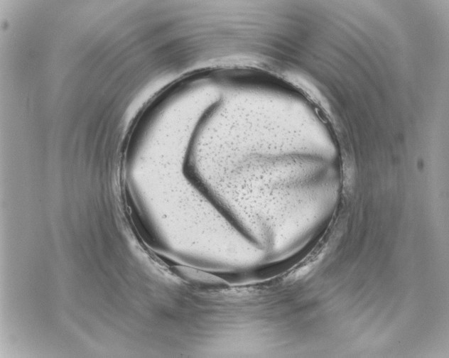 X0000070880952200607071944