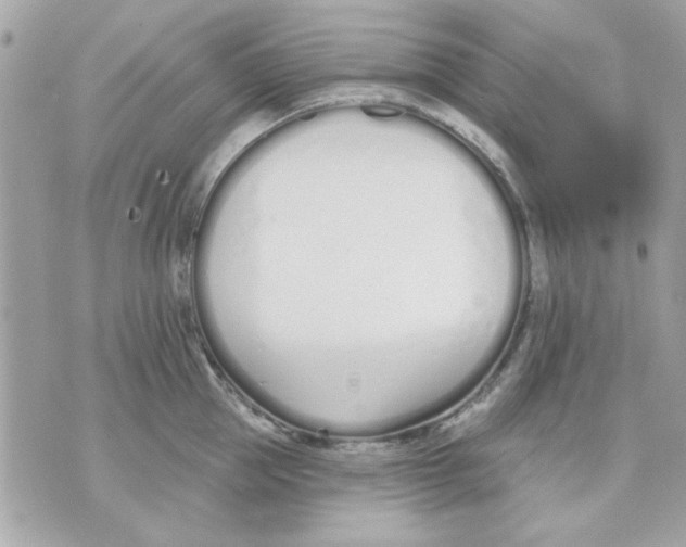 X0000070880953200607071944