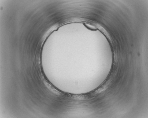 X0000070880954200607071944