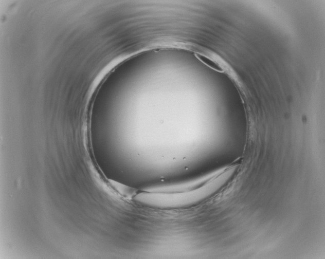 X0000070880955200607071944