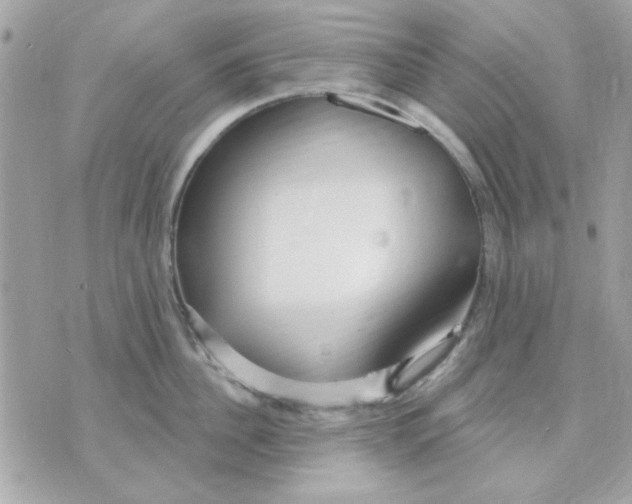 X0000070880956200607071944