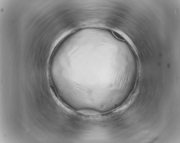 X0000070880957200607071944