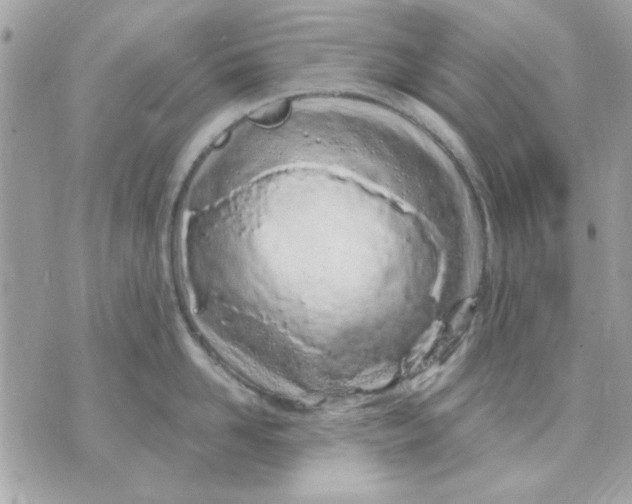 X0000070880958200607071944